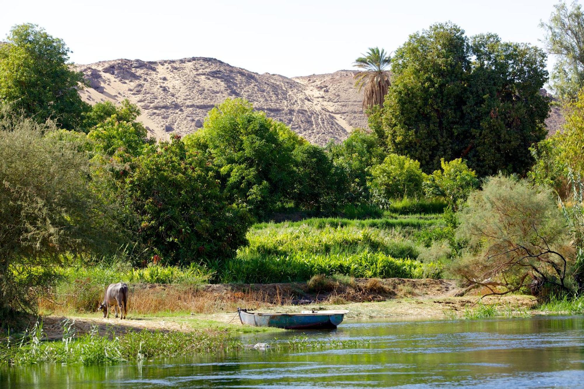 Hadouta Masreya Nubian Guest House 阿斯旺 外观 照片